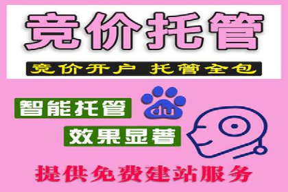 行业领先企业的sem账户竞价运营策略